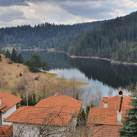 Вила Родопи Dospat Exteriér fotografie