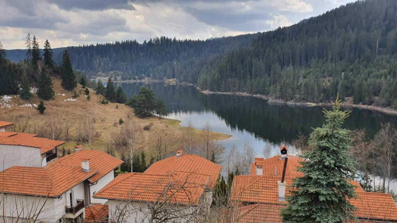 Вила Родопи Dospat Exteriér fotografie